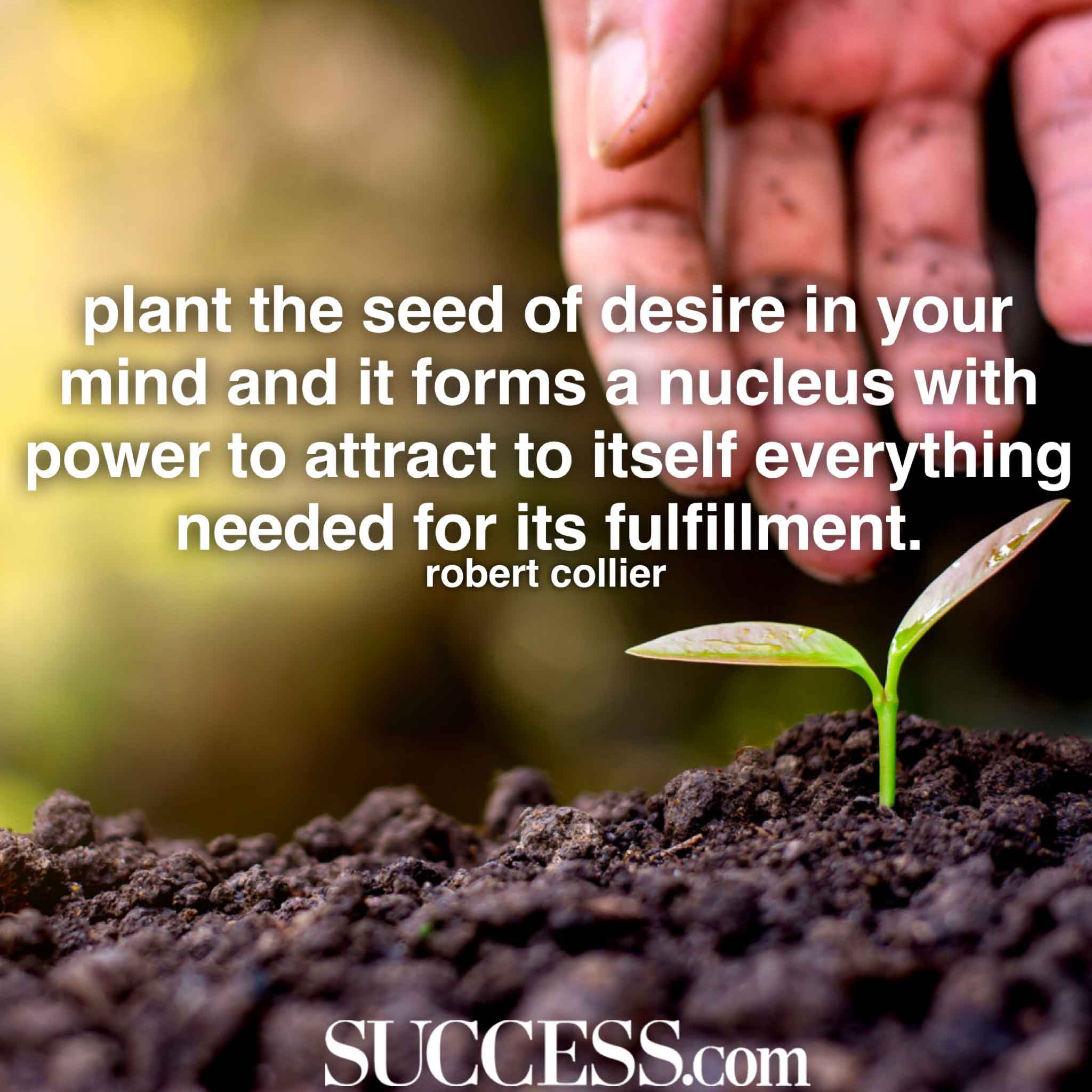 13 Inspiring Quotes to Help You Attract Success